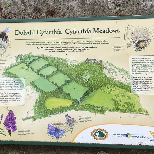 Cyfarthfa Meadows, Merthyr Tydfil