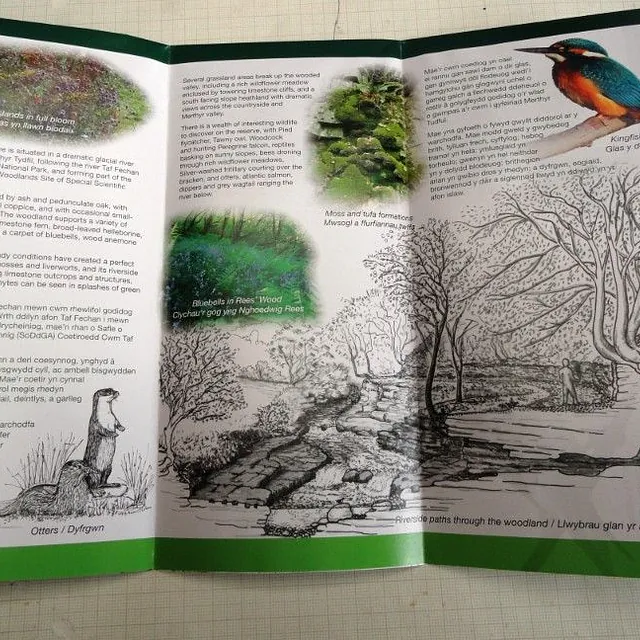 Illustrations for Various Interpretation Applications, Taf Fechan & Taf Fawr Valleys, Merthyr Tydfil