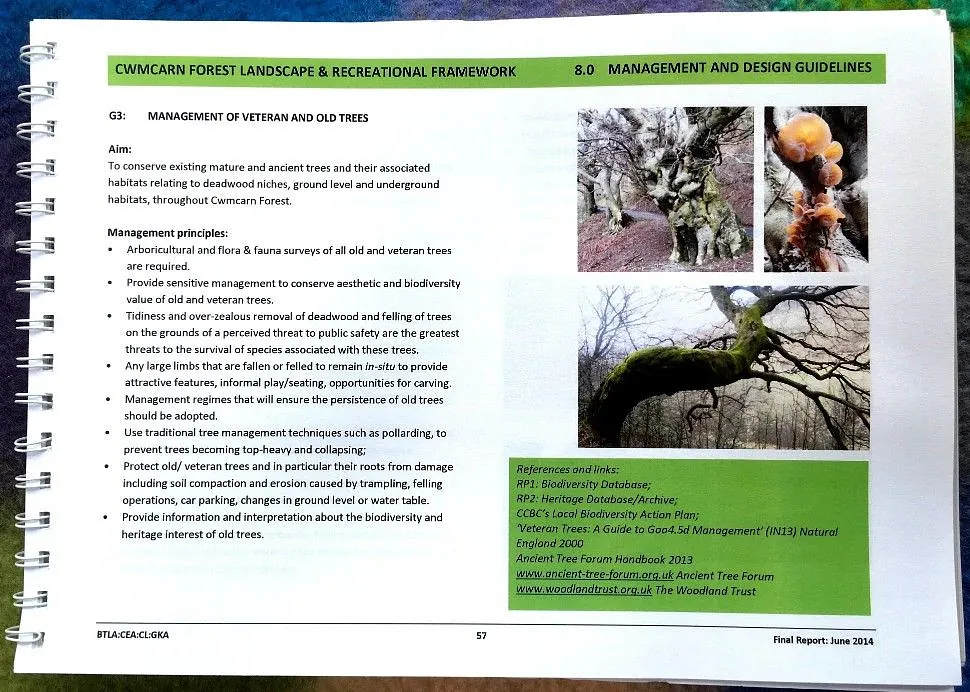 Cwmcarn Forest Landscape and Recreational Framework