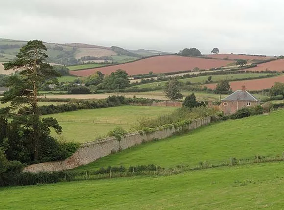 Heritage Landscape Management Plan for Wyndham Estate, Williton, Somerset