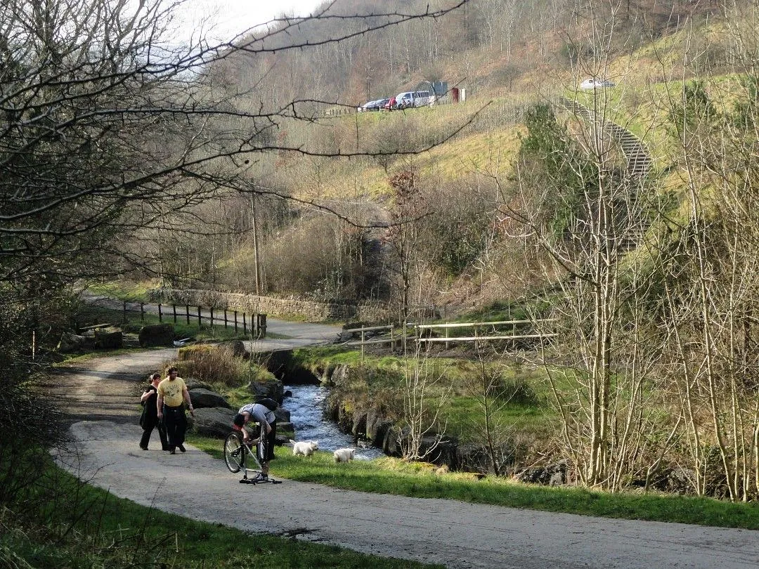 Cwmcarn Forest Landscape and Recreational Framework