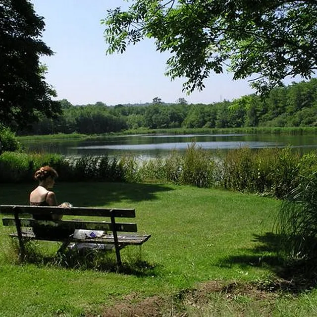 Hensol Castle and Parkland, Vale of Glamorgann