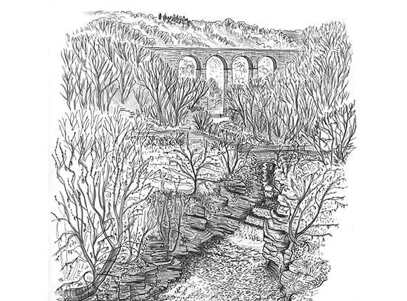 Illustrations for Various Interpretation Applications, Taf Fechan & Taf Fawr Valleys, Merthyr Tydfil