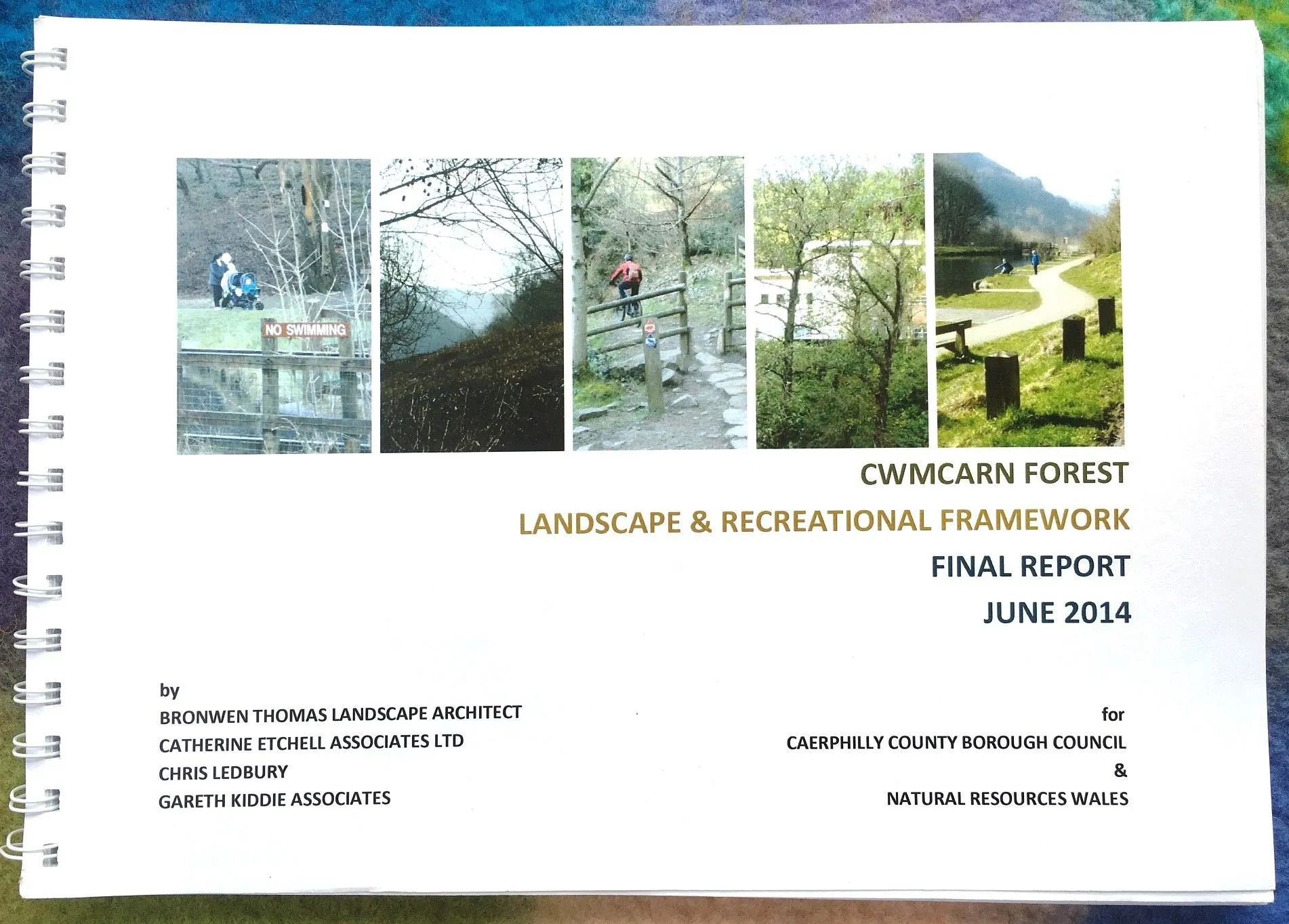 Cwmcarn Forest Landscape and Recreational Framework