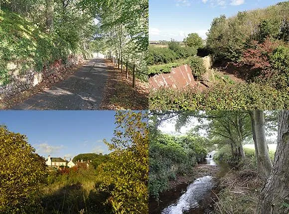 Heritage Landscape Management Plan for Wyndham Estate, Williton, Somerset