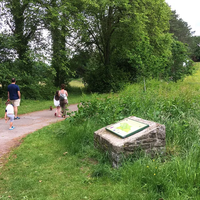 Cyfarthfa Meadows, Merthyr Tydfil