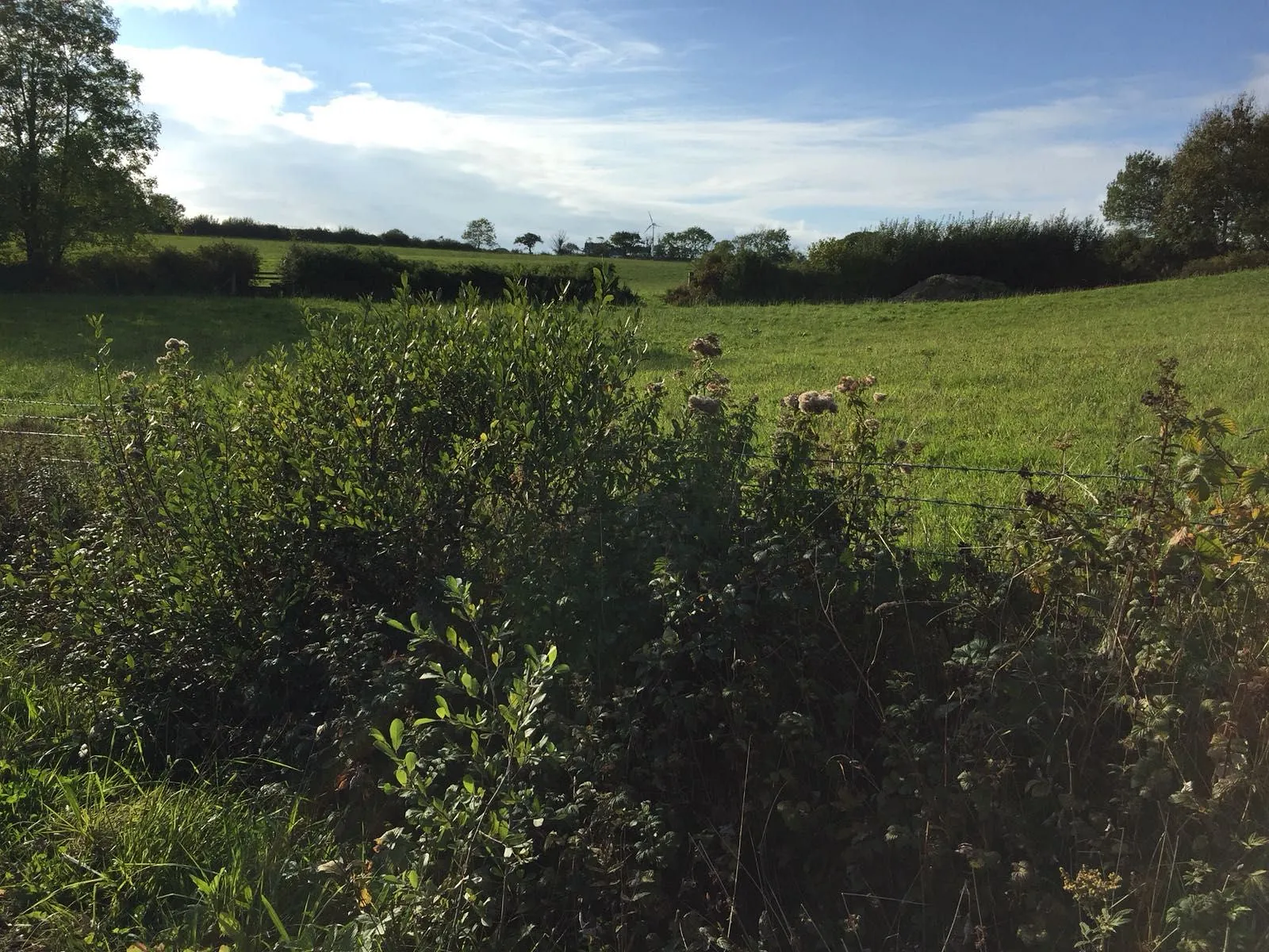 LVIA for Proposed Wind Turbine near Aberarth, Ceredigion